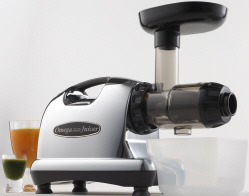 Omega 8006 Juicer